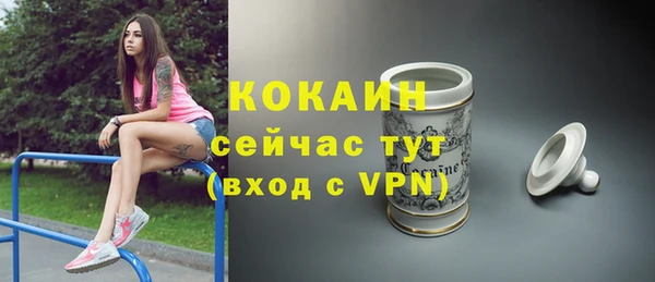 мяу мяу мука Аркадак