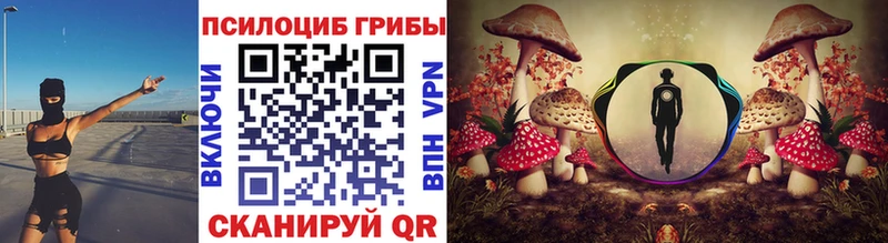 купить   Переславль-Залесский  Галлюциногенные грибы Cubensis 